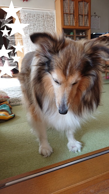 f:id:ema625:20220127130359j:plain