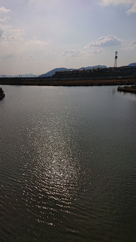 f:id:ema625:20220306140751j:plain