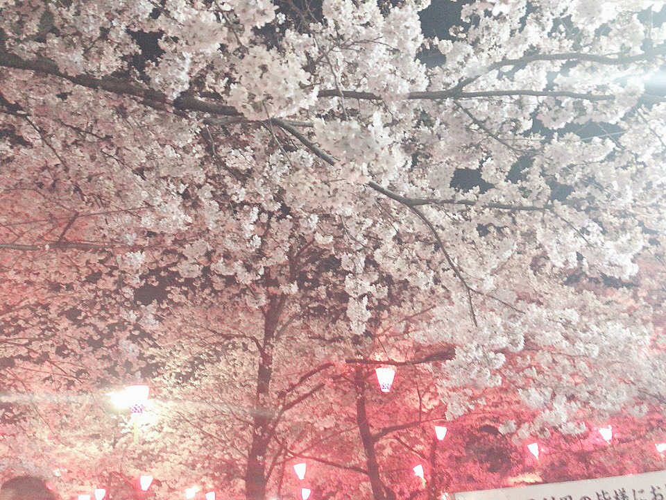f:id:ema_purin:20210314123501j:plain