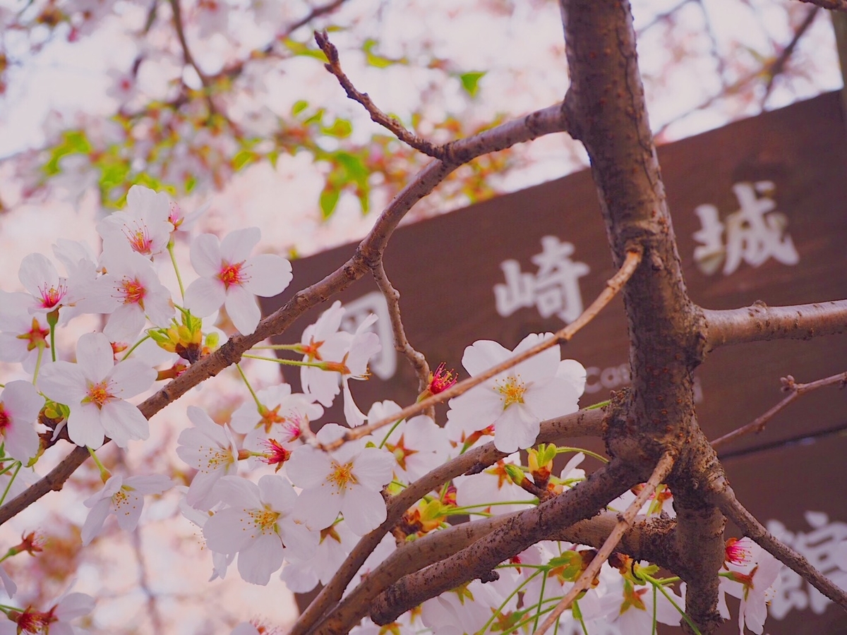 f:id:ema_purin:20210314124040j:plain
