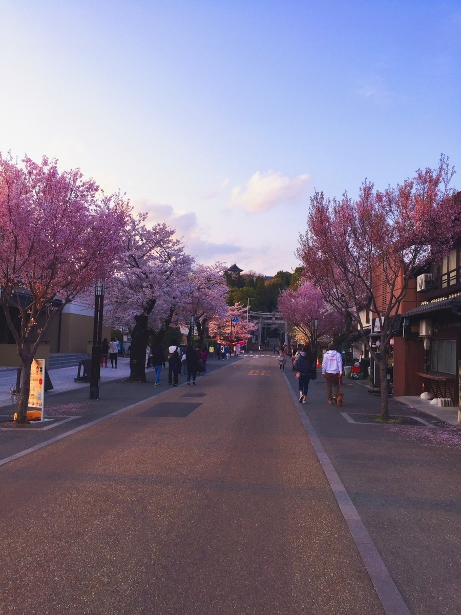 f:id:ema_purin:20210314124409j:plain