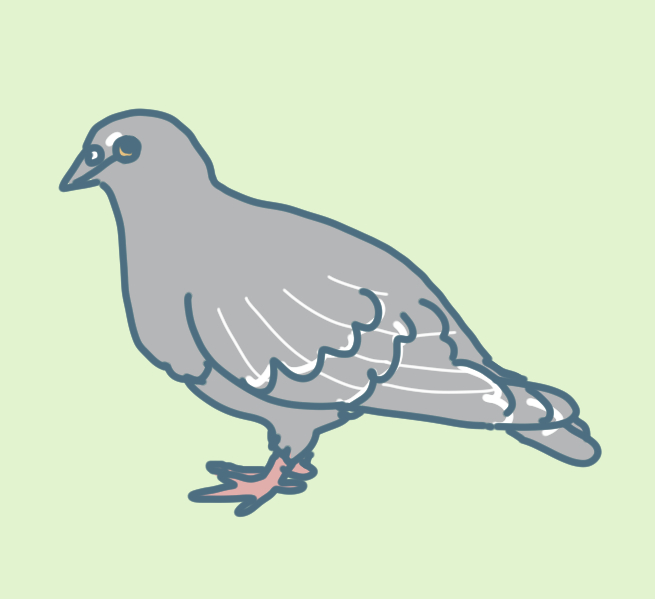 鳩イラスト