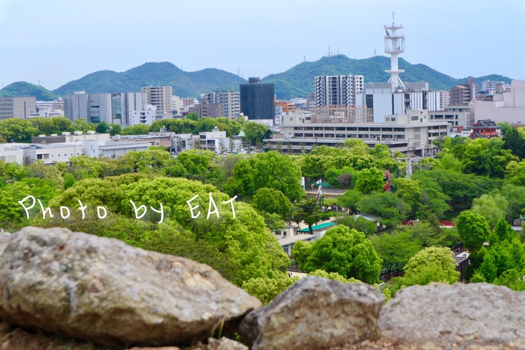 f:id:emaeat:20170510234416j:plain