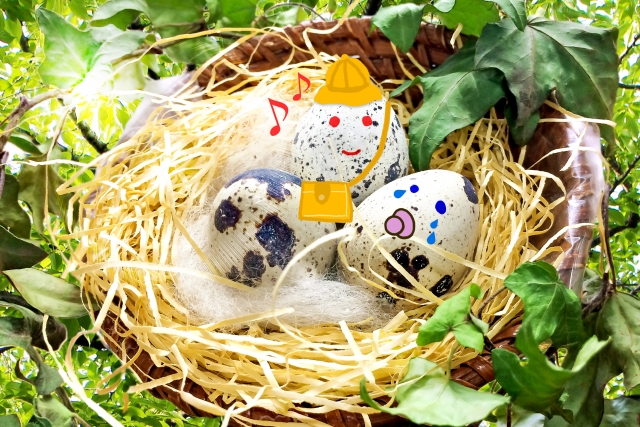 f:id:emamaru:20191117161325j:plain f:id:emamaru:20191117161325j:plain