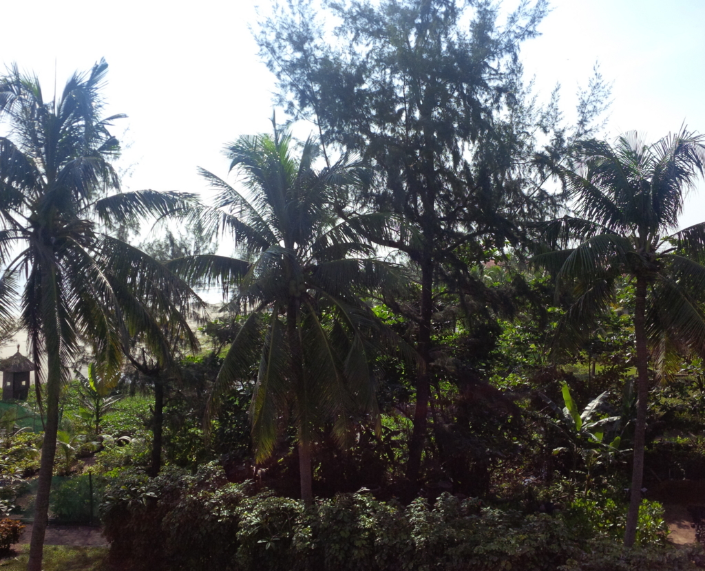 f:id:emandai34:20161022104413j:plain