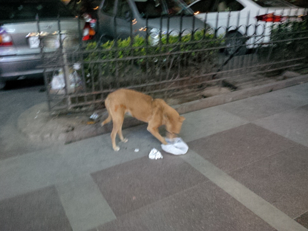 f:id:emandai34:20170111215353j:plain