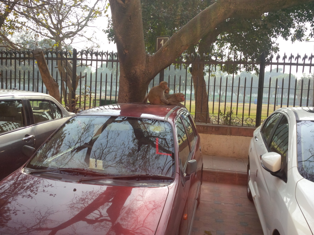 f:id:emandai34:20170112155532j:plain