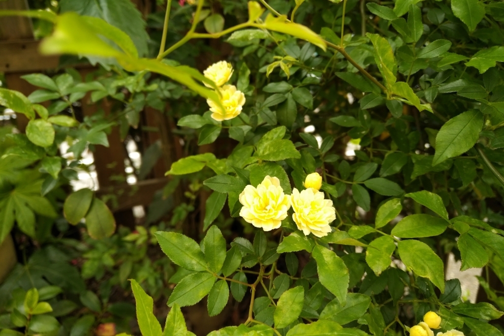 f:id:emandai34:20180414103343j:plain