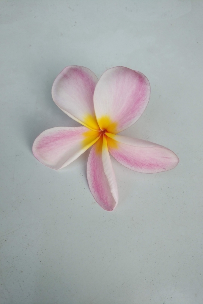 f:id:emandai34:20180713065615j:plain