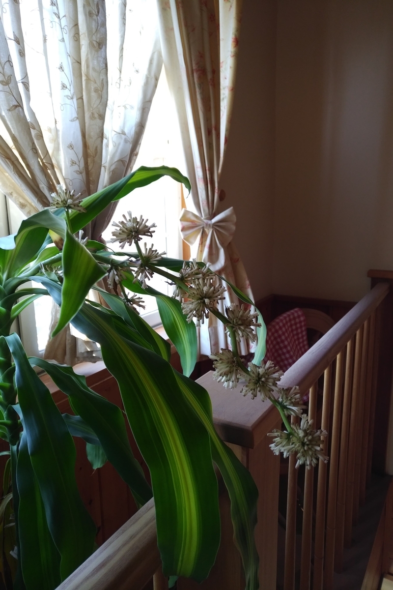 f:id:emandai34:20190413093849j:plain