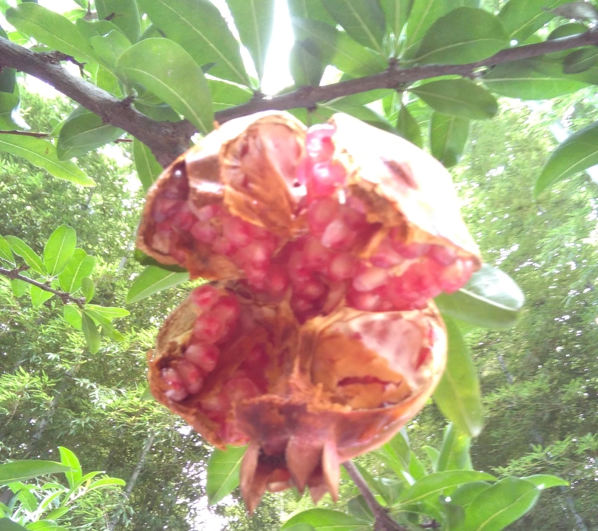 f:id:emandai34:20191008112001j:plain