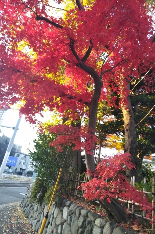 f:id:emandai34:20201214135917j:plain