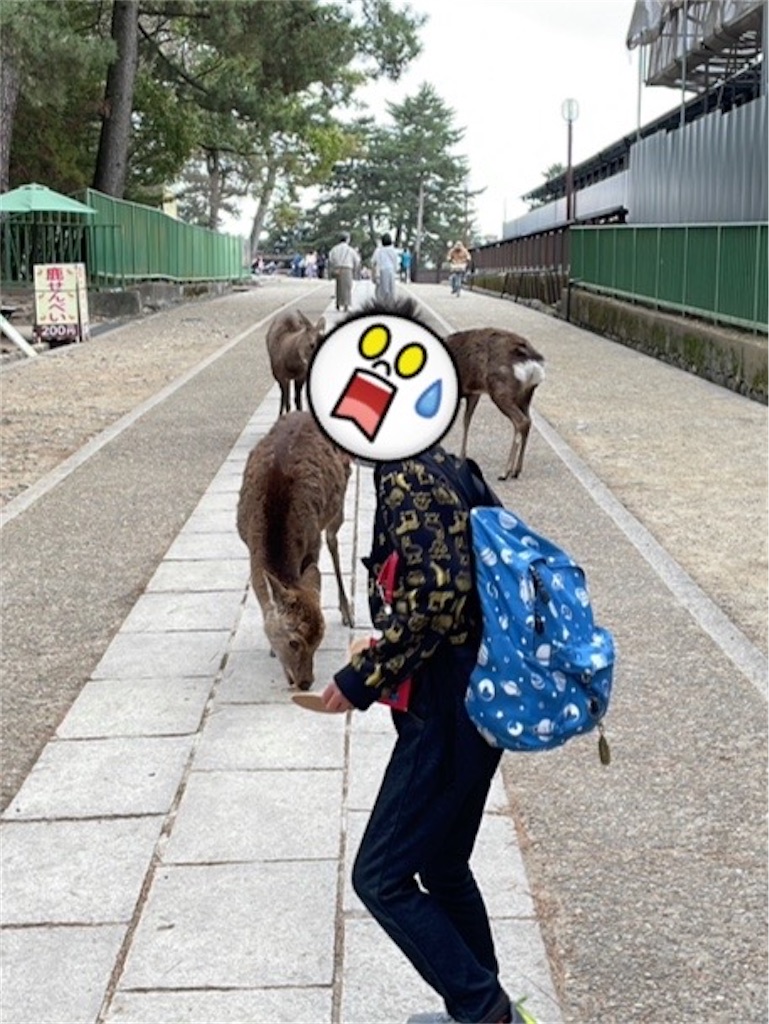 f:id:emanonsan:20230329080909j:image