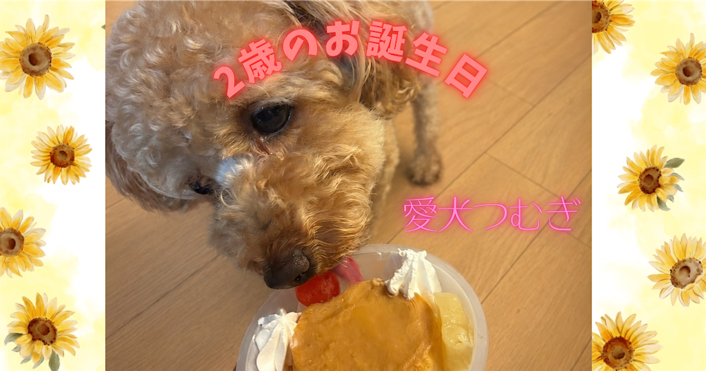 f:id:emaru-tsumugi:20260802201012p:image