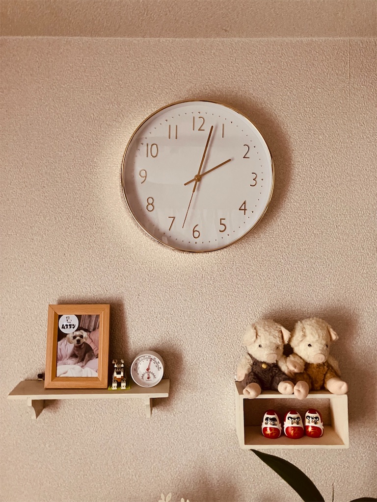 f:id:emaslife:20250813060844j:image