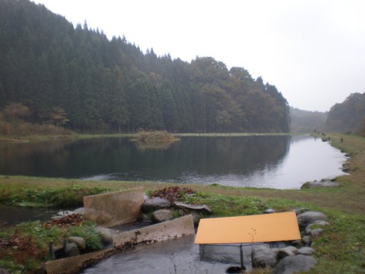 f:id:emata:20091103010442j:image