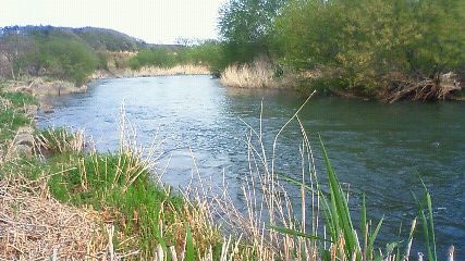 f:id:emata:20100509121532j:image