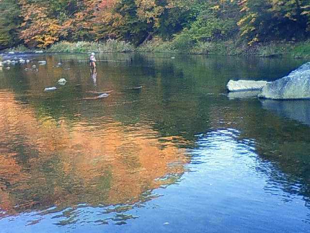 f:id:emata:20101107151400j:image