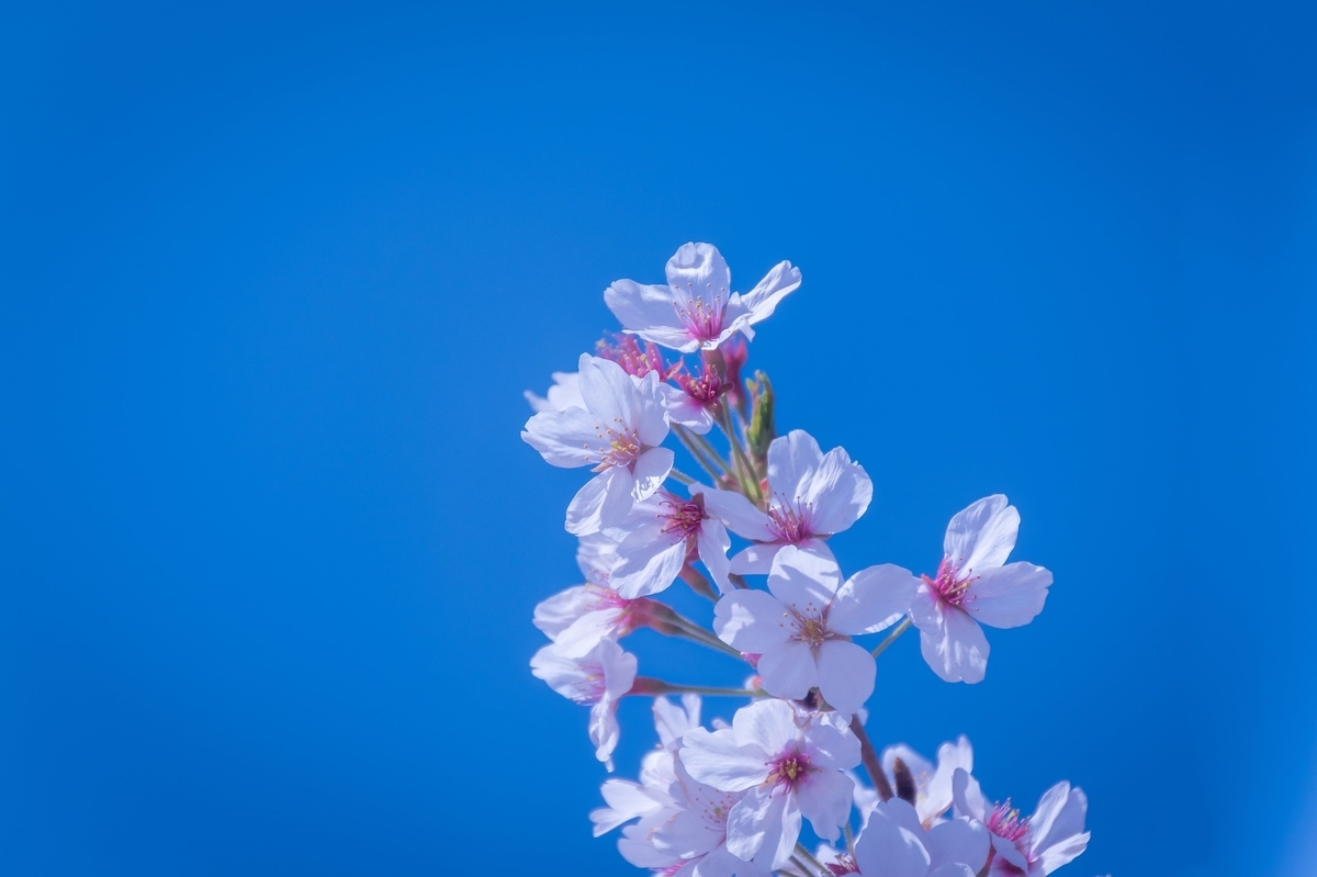 f:id:embry:20180331145547j:plain