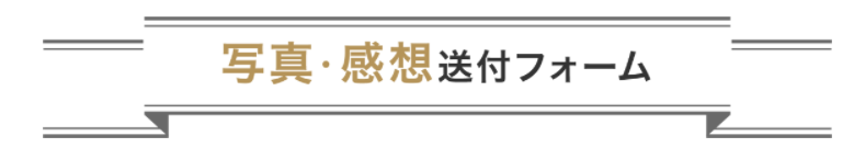 f:id:emc_noise:20220123215039p:plain