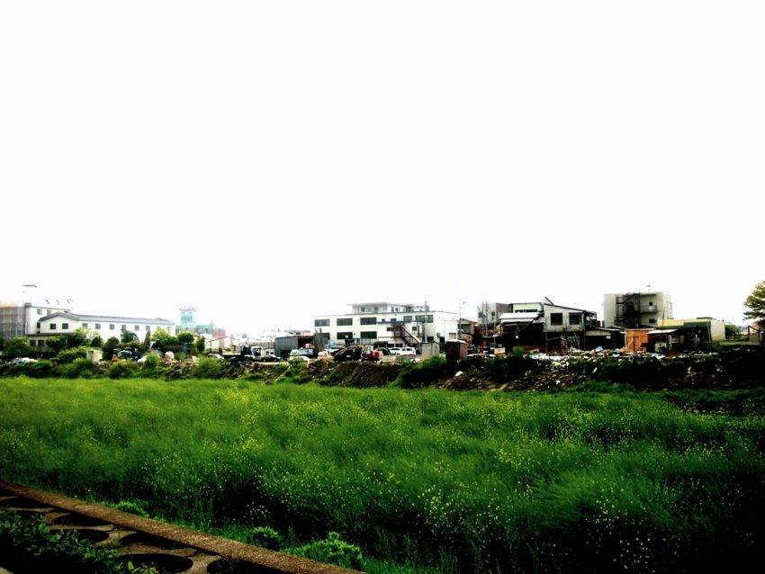 f:id:emeclix:20090427155518j:image