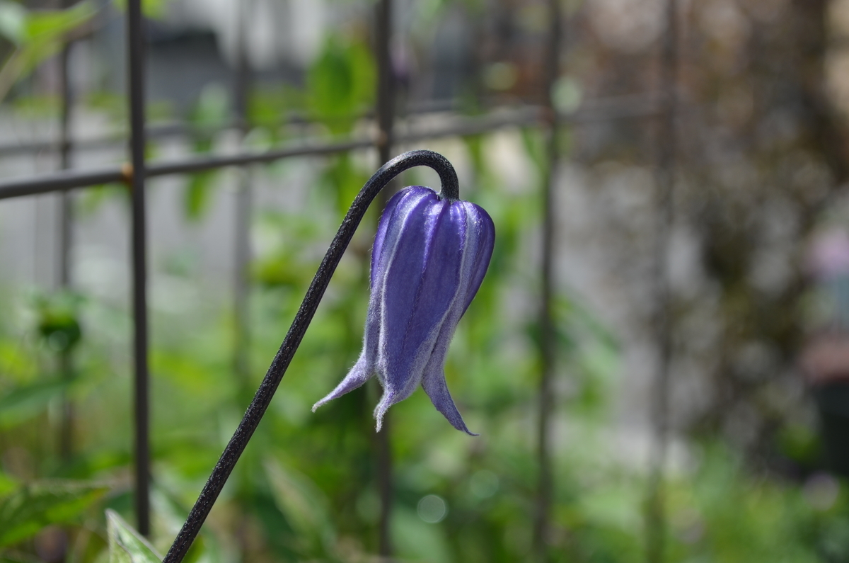 f:id:emeeme-1127:20190505153857j:plain f:id:emeeme-1127:20190505153857j:plain