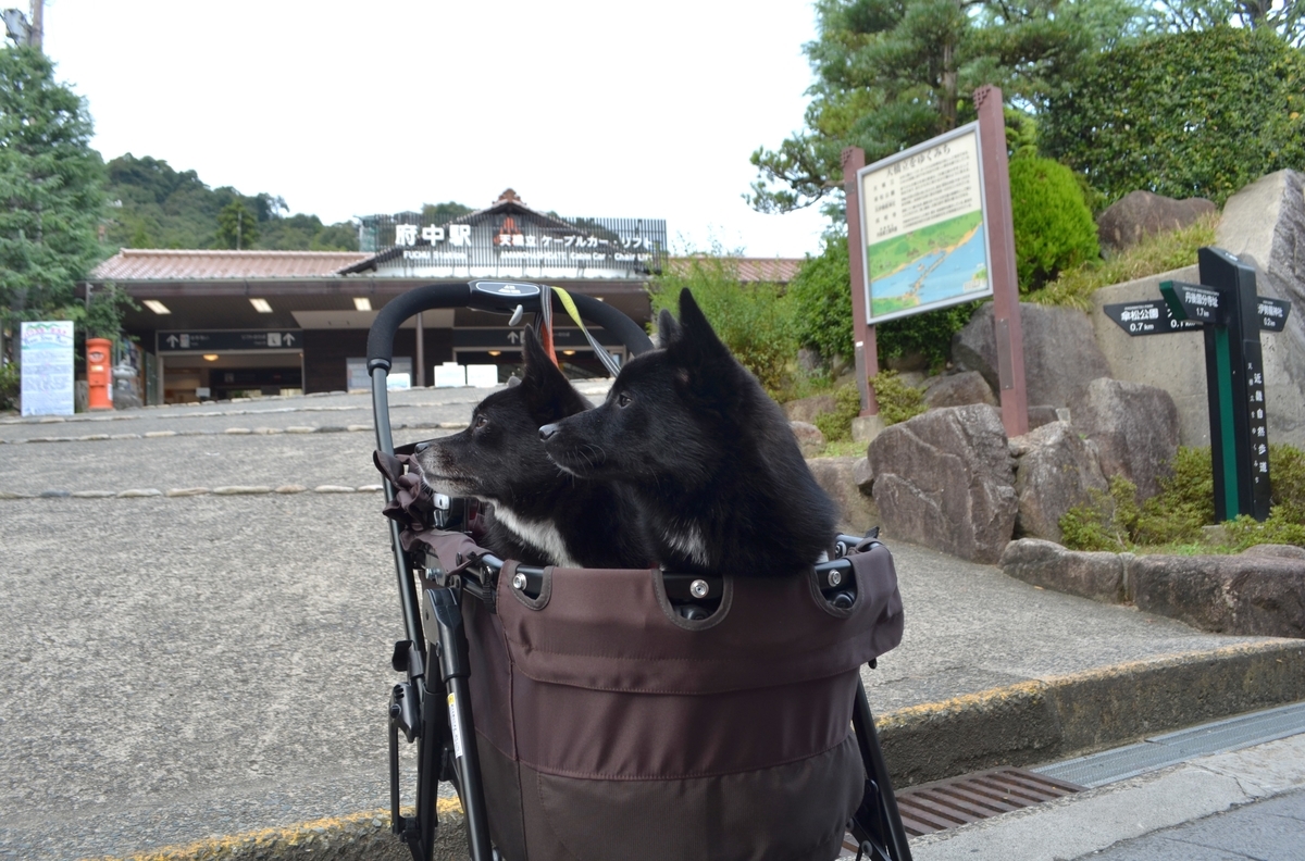 f:id:emeeme-1127:20191019121216j:plain f:id:emeeme-1127:20191019121216j:plain