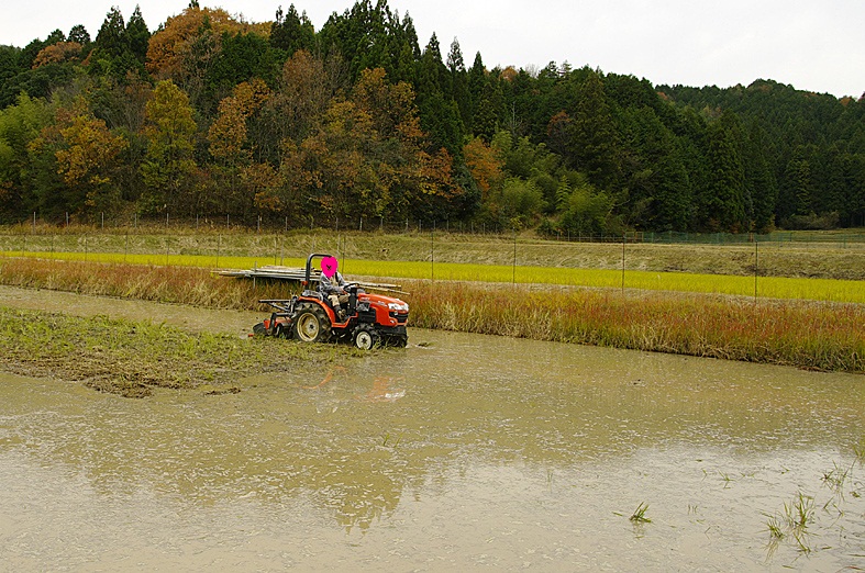f:id:emerarud:20121202135710j:image