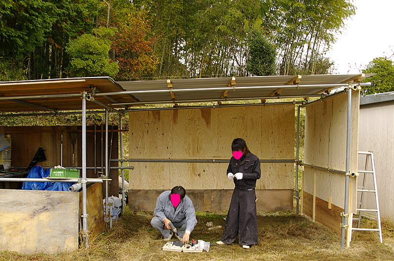 f:id:emerarud:20121202154949j:image