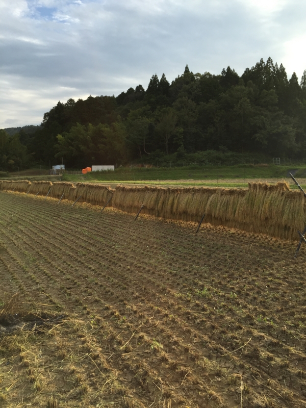f:id:emerarud:20150923113023j:image