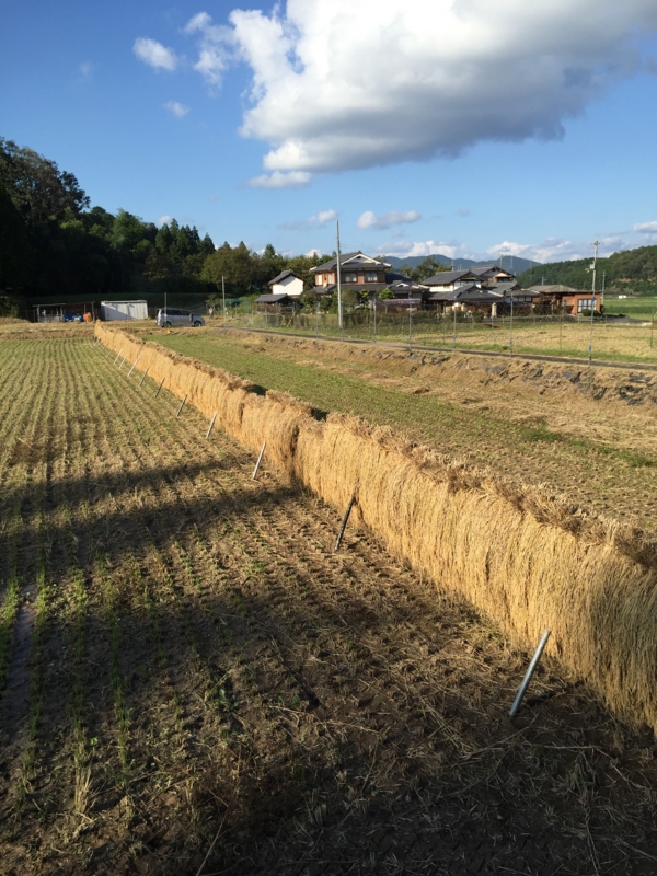 f:id:emerarud:20150928145629j:image