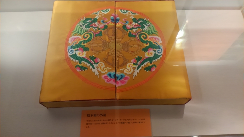 f:id:emerose:20140905192452j:image