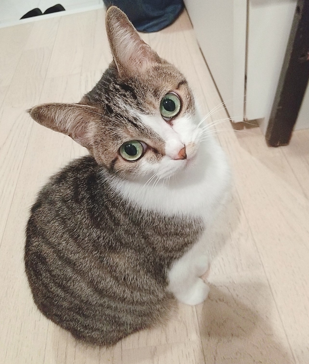 祝🎊10,000アクセス超🎉😉＆完成👍 - 肖像画家🎨絵美のゆる日記🐈