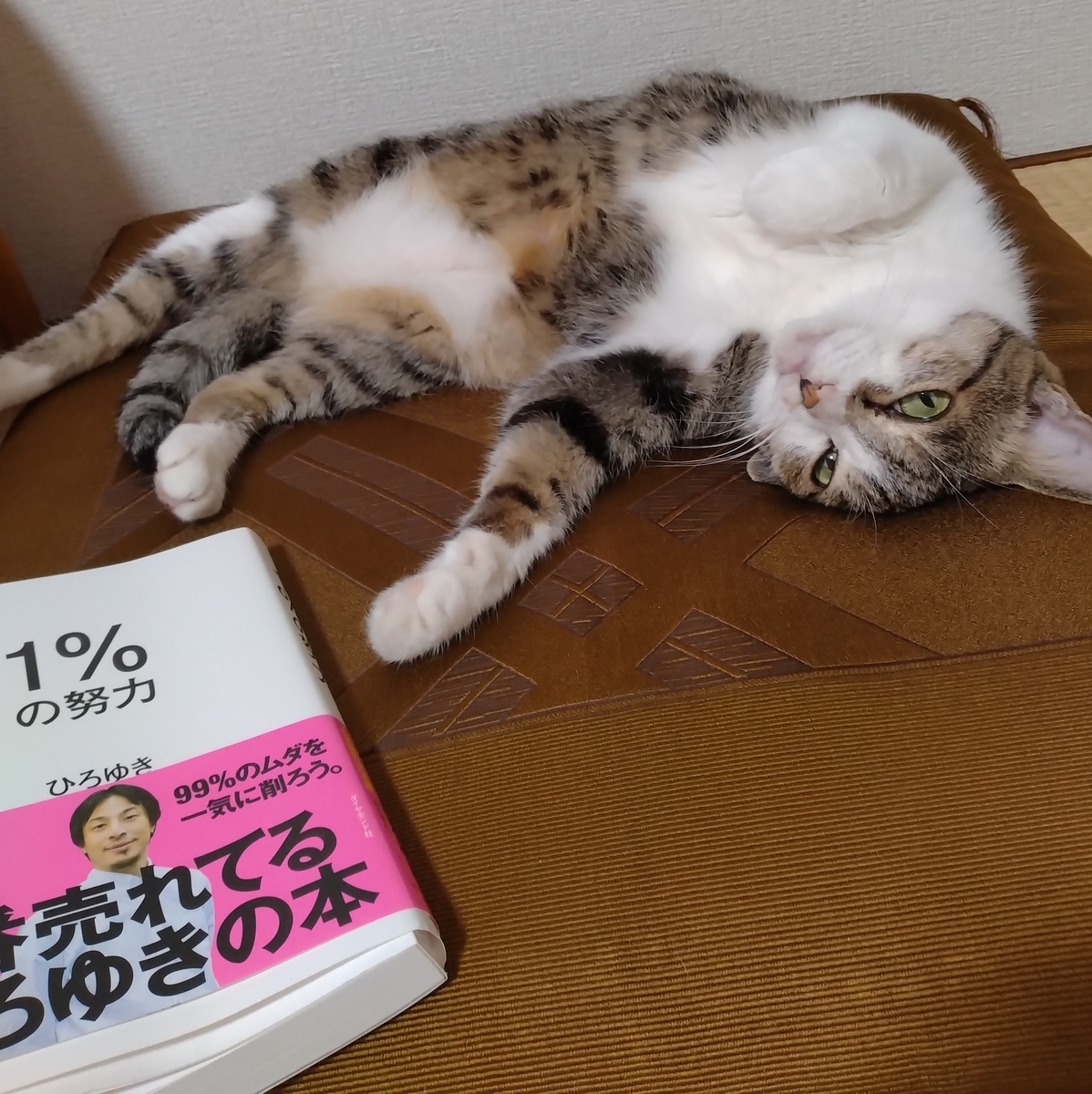 制作中〜🌞 - 肖像画家🎨絵美のゆる日記🐈
