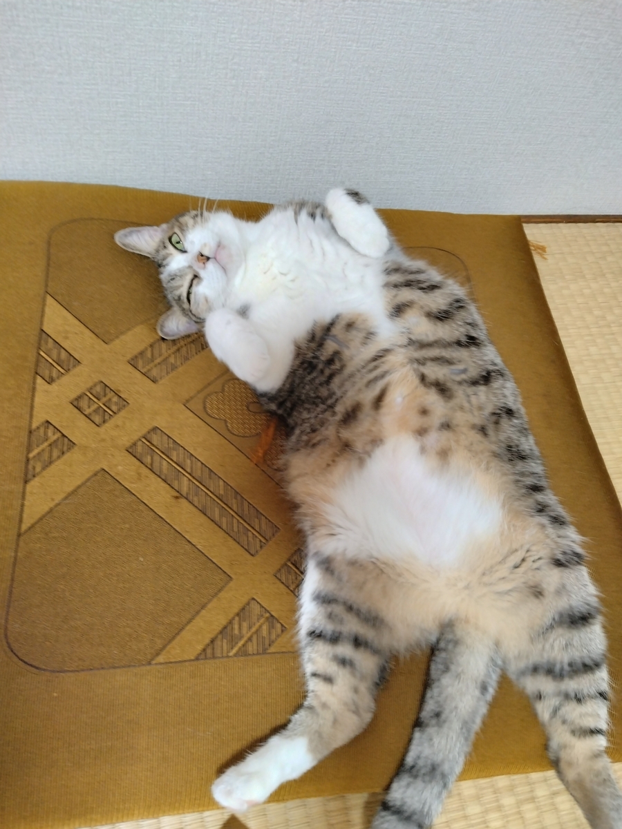 制作中〜🌞 - 肖像画家🎨絵美のゆる日記🐈