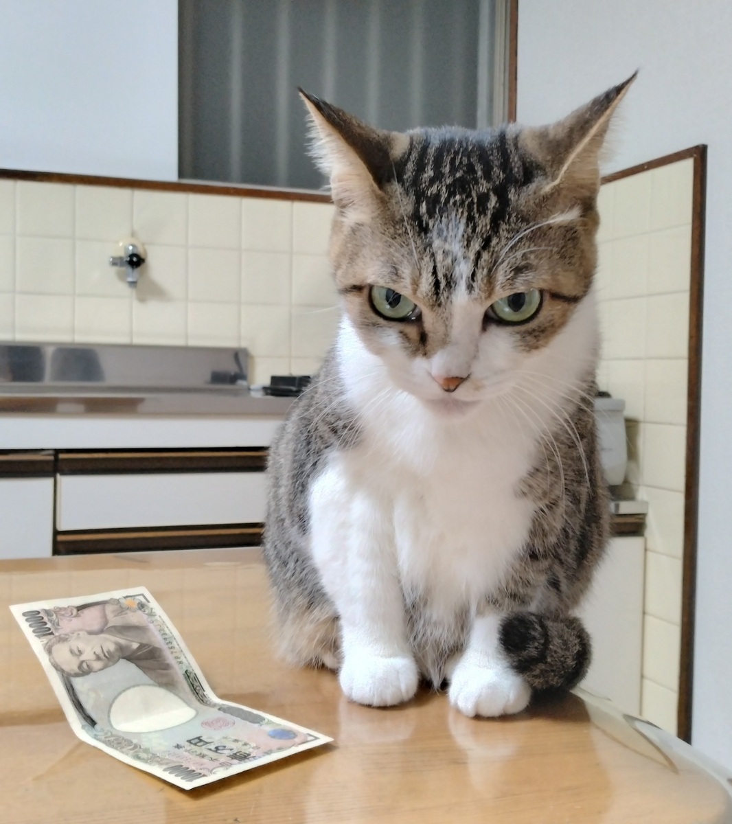 一生に一度は？😉 - 肖像画家🎨絵美のゆる日記🐈