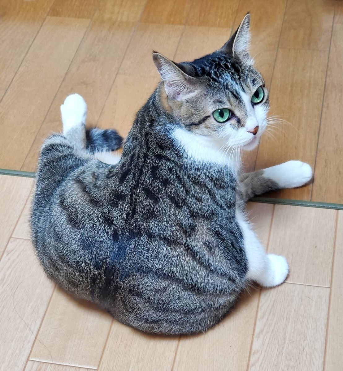 ご依頼品完成🎉😉 - 肖像画家🎨絵美のゆる日記🐈