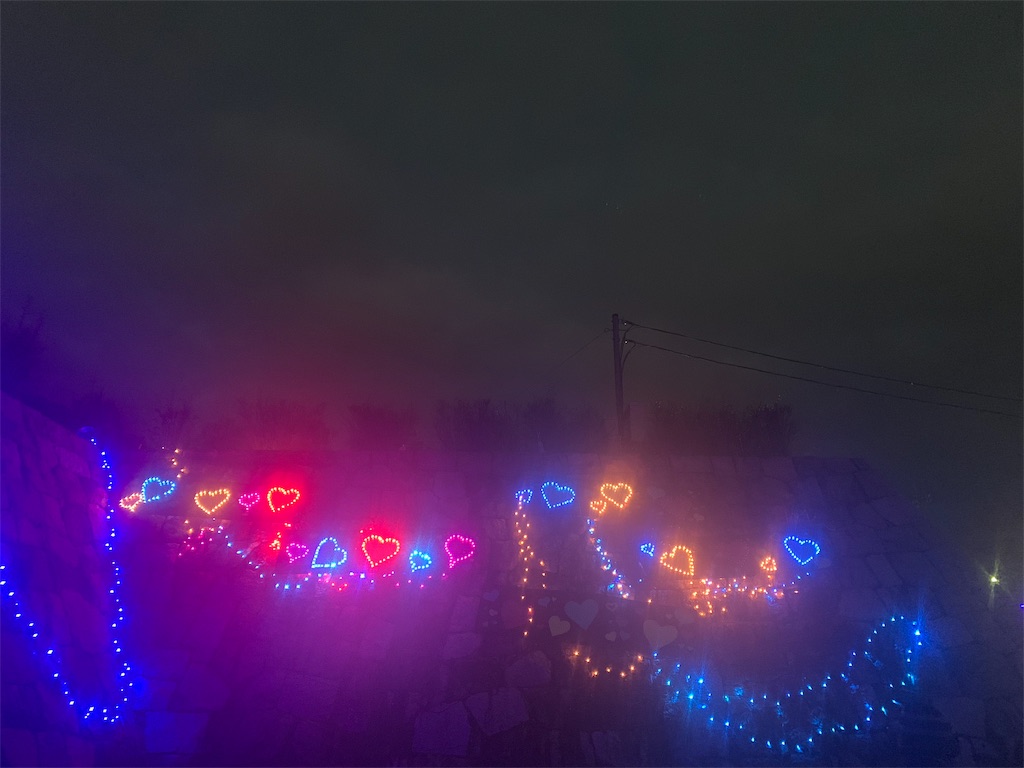 f:id:emi-sk:20181215194103j:image f:id:emi-sk:20181215194103j:image