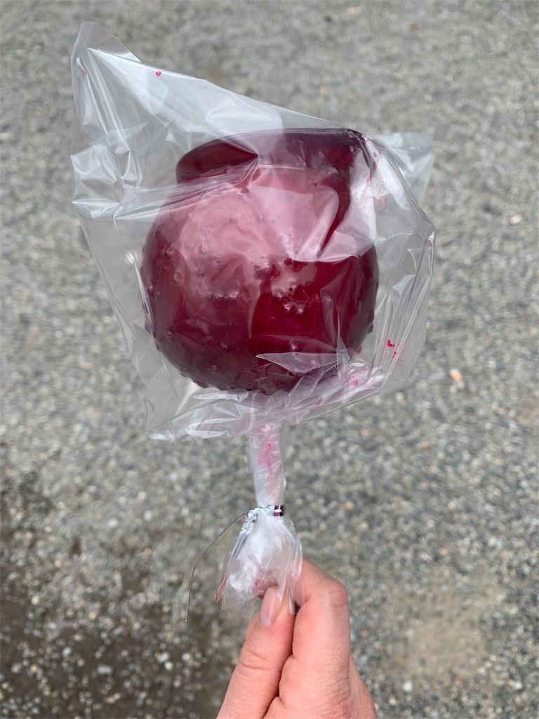 f:id:emi-sk:20190103085205j:image
