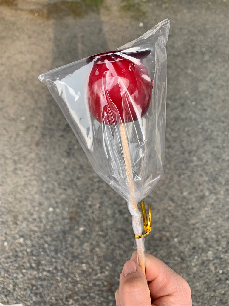 f:id:emi-sk:20190105162002j:image