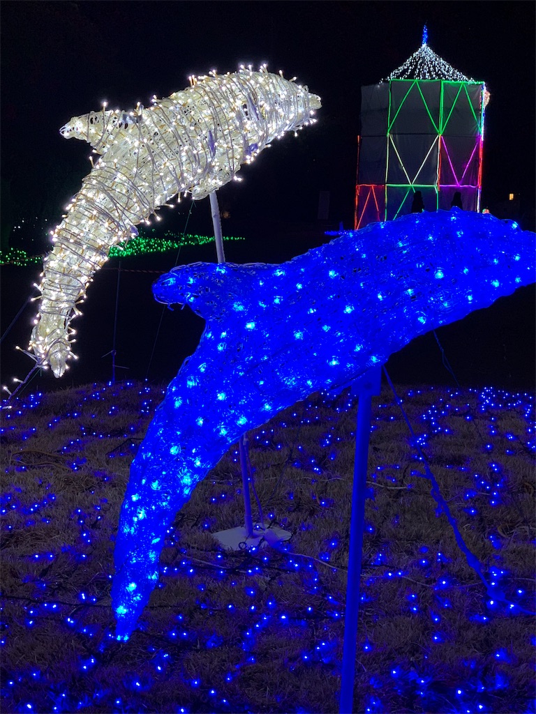 f:id:emi-sk:20190106194104j:image