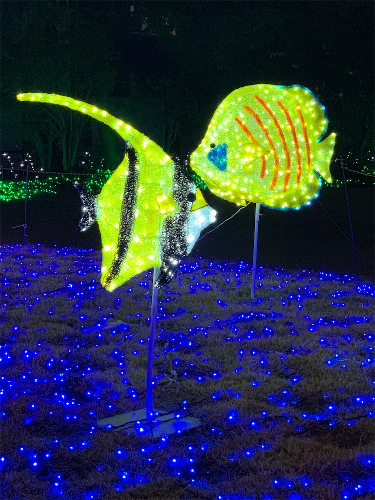 f:id:emi-sk:20190106194119j:image