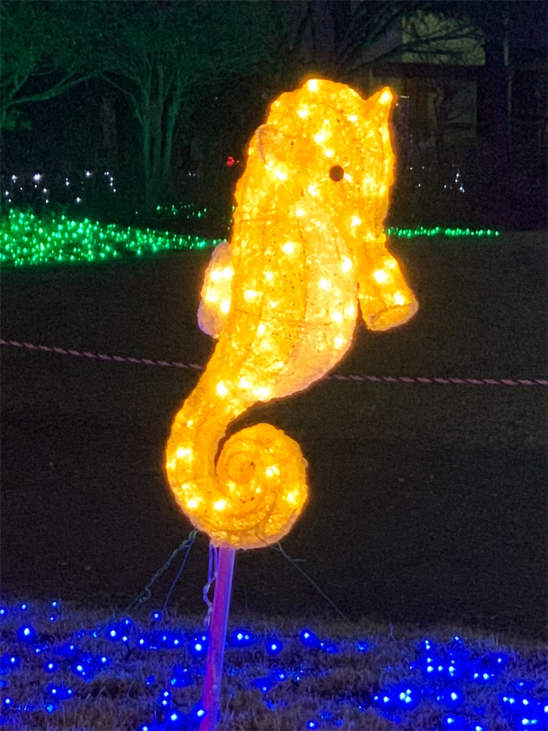 f:id:emi-sk:20190106194206j:image