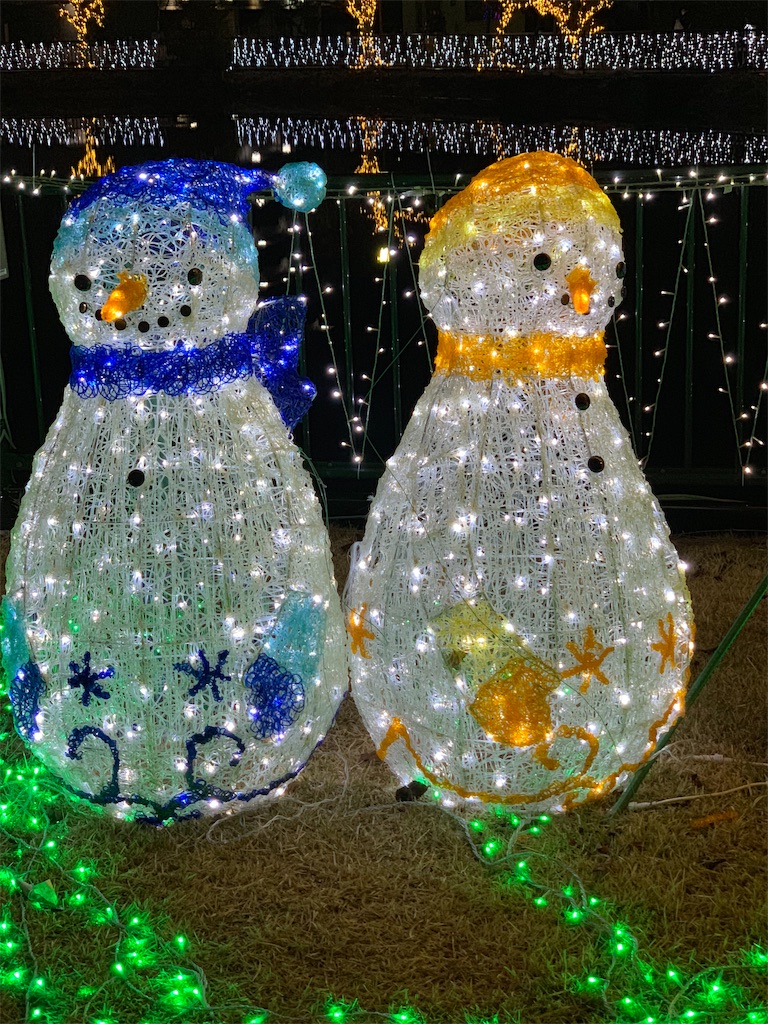 f:id:emi-sk:20190106194320j:image