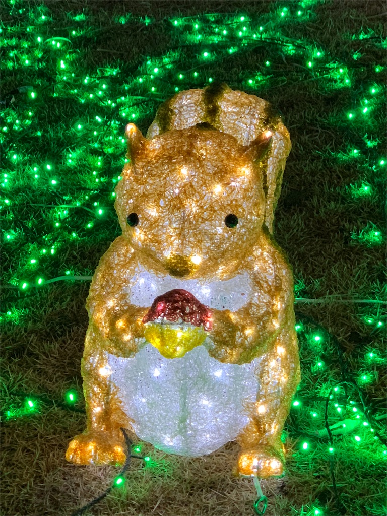 f:id:emi-sk:20190106194358j:image