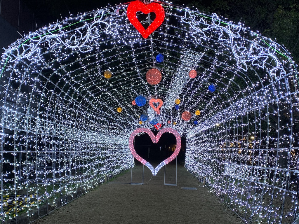 f:id:emi-sk:20190106194427j:image