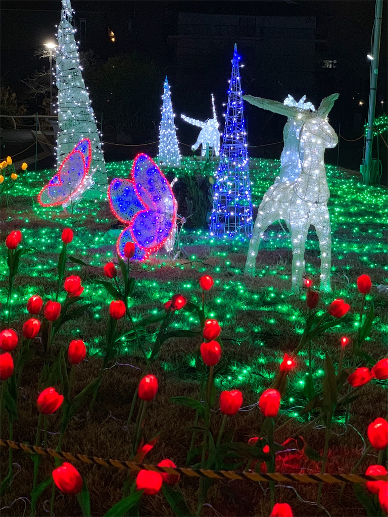 f:id:emi-sk:20190106194459j:image