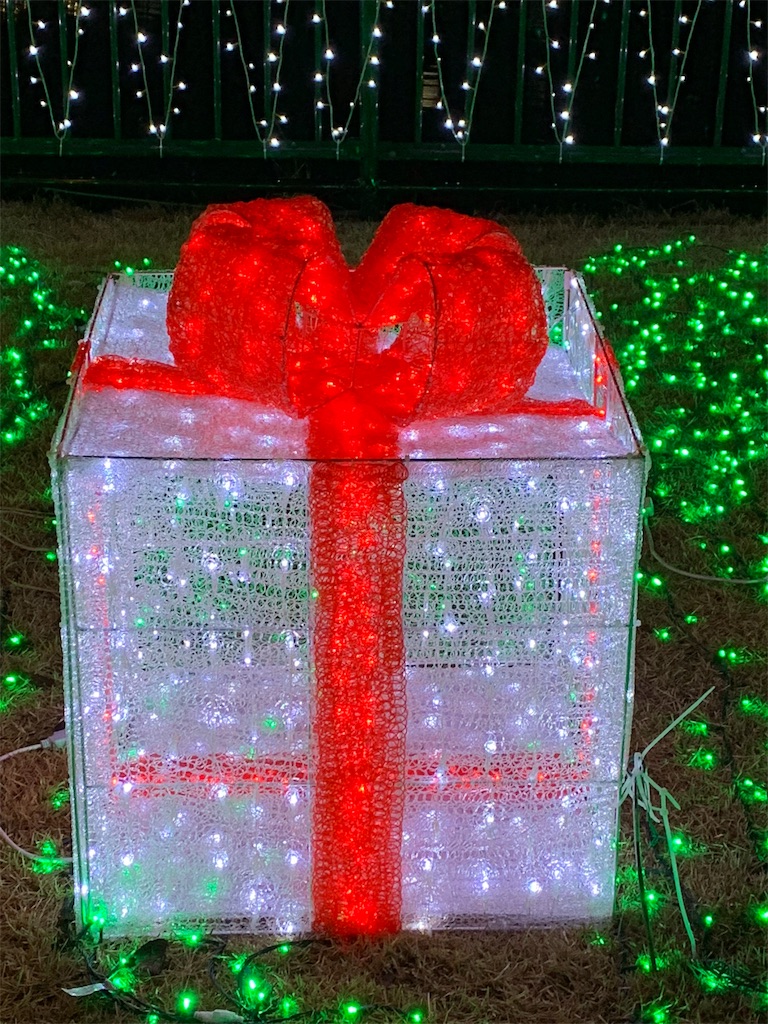 f:id:emi-sk:20190107081732j:image