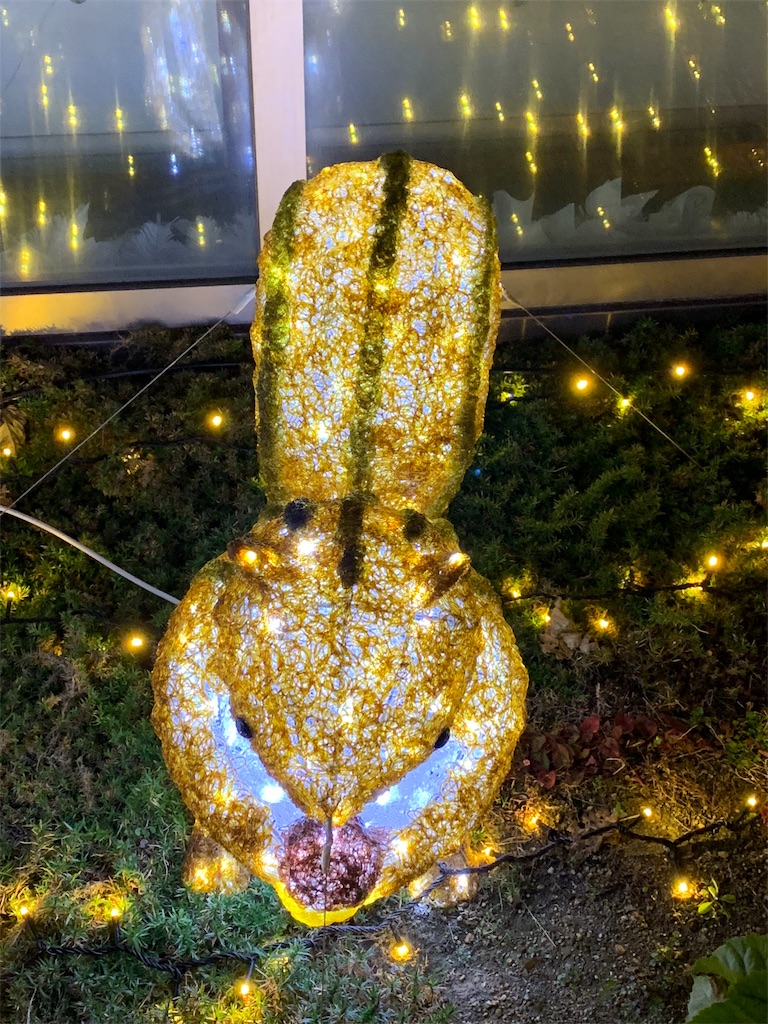 f:id:emi-sk:20190126210639j:image
