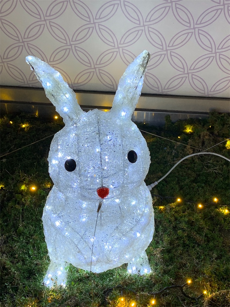 f:id:emi-sk:20190126210651j:image